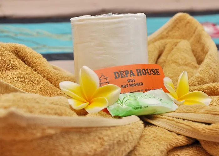 Depa House Pensión *
